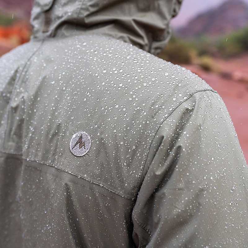 precip eco